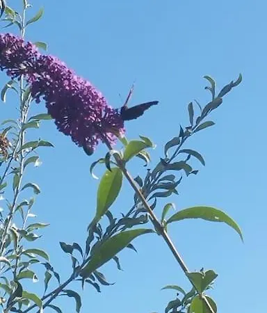 Casa Sibbe With Beautiful View Сasa de vacaciones