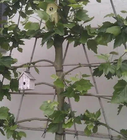 Casa Sibbe With Beautiful View Сasa de vacaciones