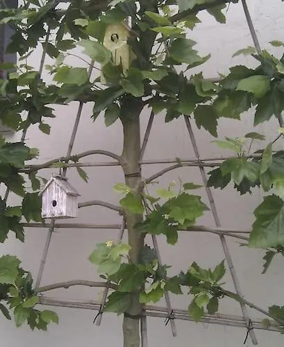 Casa Sibbe With Beautiful View Feriehus