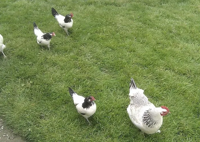 Casa Sibbe With Beautiful View Feriehus