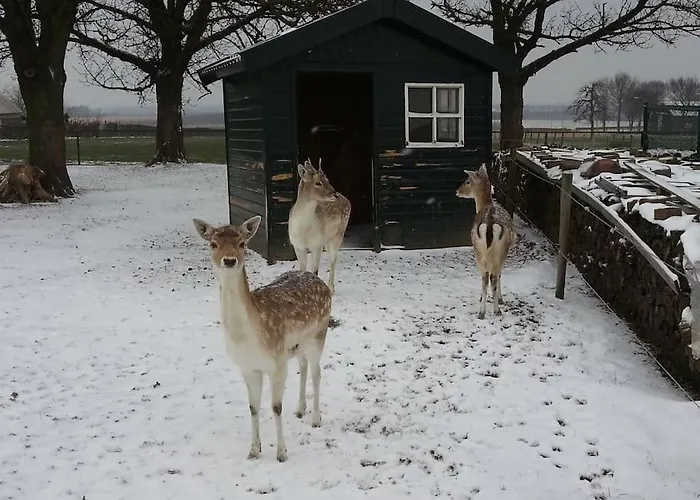 別荘 Casa Sibbe With Beautiful View *