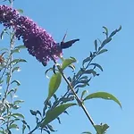 Casa Sibbe With Beautiful View Holiday home