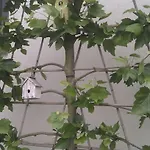 Casa Sibbe With Beautiful View Holiday home