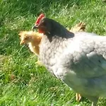 Casa Sibbe With Beautiful View Holiday home