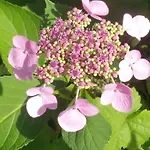 Casa Sibbe With Beautiful View Holiday home *