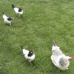 Casa Sibbe With Beautiful View Holiday home